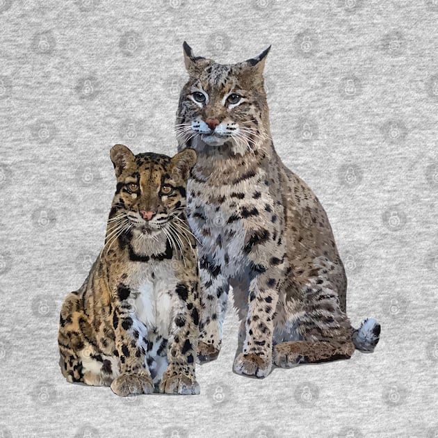 wild cats by obscurite